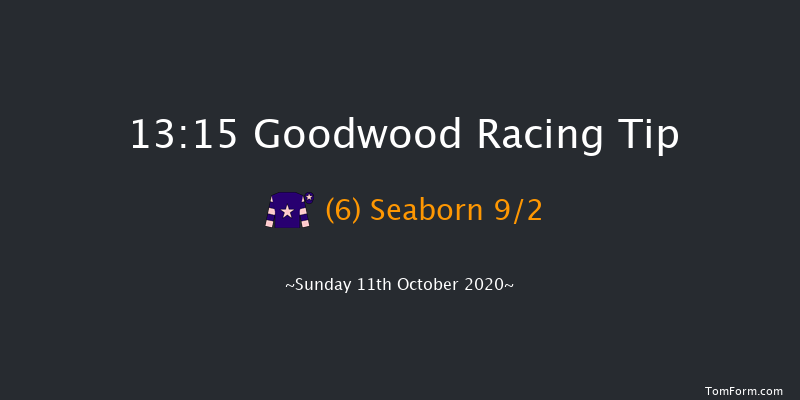 Download The tote Placepot App Handicap Goodwood 13:15 Handicap (Class 4) 16f Wed 23rd Sep 2020