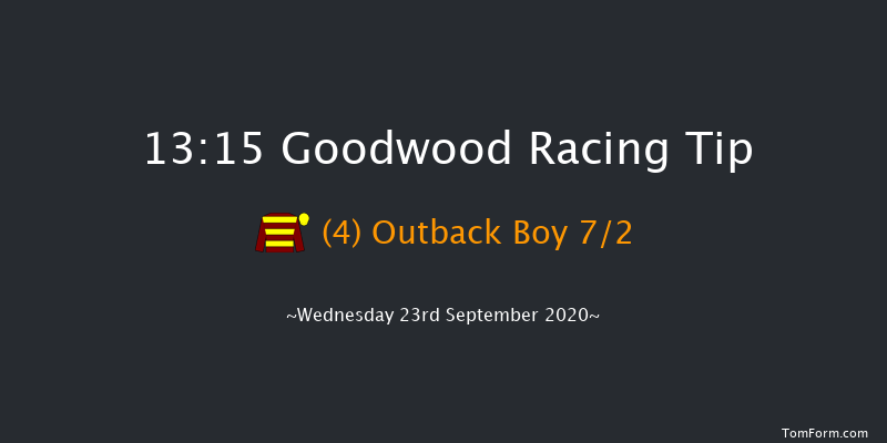 Download The tote Placepot App Future Stayers' EBF Maiden Stakes (Plus 10) Goodwood 13:15 Maiden (Class 2) 10f Tue 8th Sep 2020