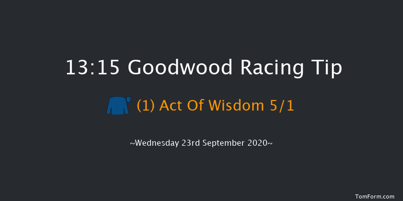 Download The tote Placepot App Future Stayers' EBF Maiden Stakes (Plus 10) Goodwood 13:15 Maiden (Class 2) 10f Tue 8th Sep 2020