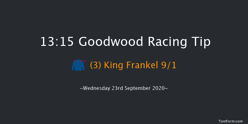 Download The tote Placepot App Future Stayers' EBF Maiden Stakes (Plus 10) Goodwood 13:15 Maiden (Class 2) 10f Tue 8th Sep 2020