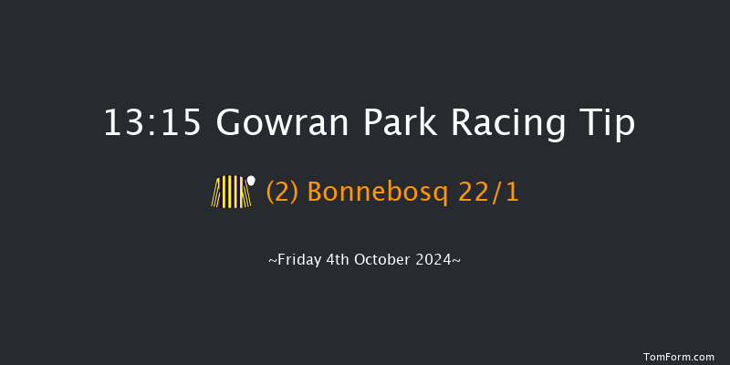 Gowran Park  13:15 Maiden Hurdle 16f Sat 21st Sep 2024