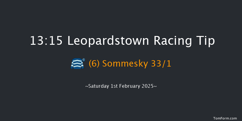 Leopardstown  13:15 Novices Hurdle 22f Sun 29th Dec 2024