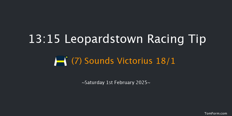 Leopardstown  13:15 Novices Hurdle 22f Sun 29th Dec 2024