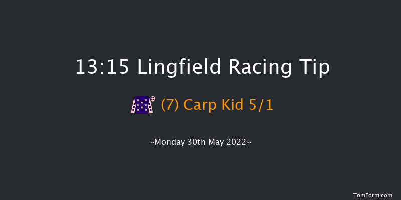 Lingfield 13:15 Handicap (Class 5) 10f Tue 24th May 2022