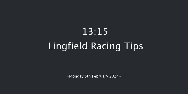Lingfield  13:15 Handicap (Class 6) 13f Sun 4th Feb 2024