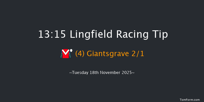 Lingfield 13-15 (Class 4) 19f Tue 11th Nov 2025
