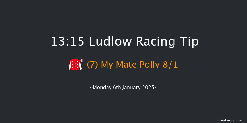 Ludlow  13:15 Handicap Chase (Class 5) 20f Wed 18th Dec 2024