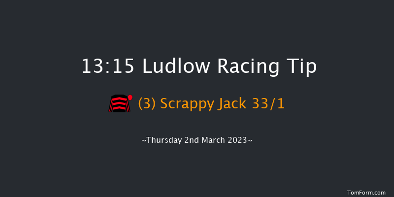 Ludlow 13:15 Handicap Hurdle (Class 5) 16f Wed 22nd Feb 2023