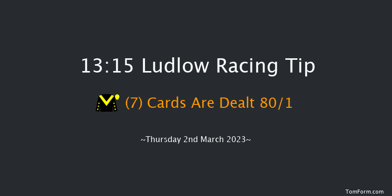 Ludlow 13:15 Handicap Hurdle (Class 5) 16f Wed 22nd Feb 2023