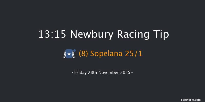 Newbury 13-15 (Class 1) 16f Thu 6th Nov 2025