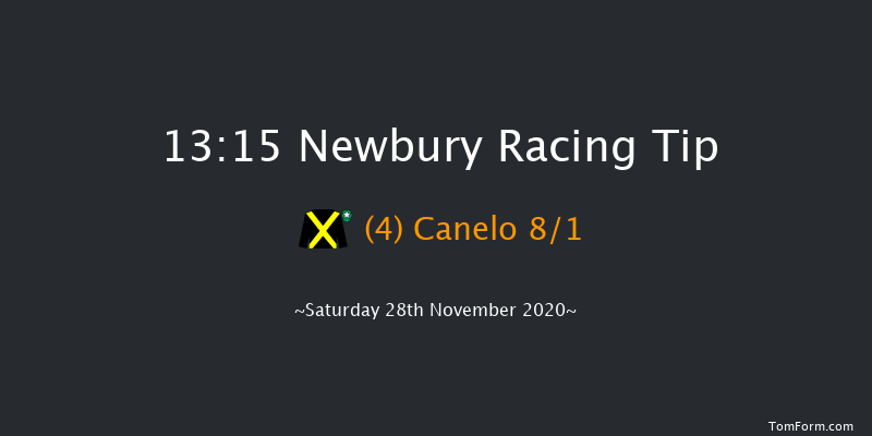 Sir Peter O'sullevan Memorial Handicap Chase Newbury 13:15 Handicap Chase (Class 2) 22f Fri 27th Nov 2020