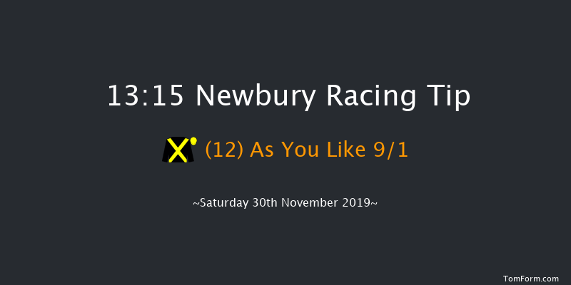Newbury 13:15 Handicap Chase (Class 2) 22f Fri 29th Nov 2019