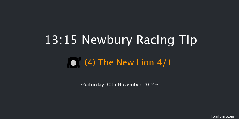 Newbury  13:15 Maiden Hurdle (Class 3) 20f Fri 29th Nov 2024