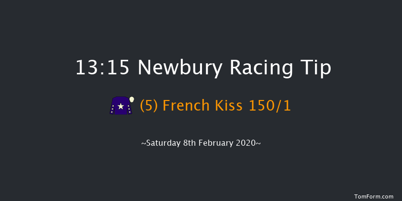 Set Your Own Odds On Betfair Exchange Novices' Hurdle Newbury 13:15 Maiden Hurdle (Class 3) 16f Wed 15th Jan 2020