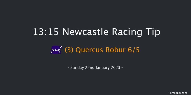 Newcastle 13:15 Handicap (Class 6) 16f Fri 20th Jan 2023