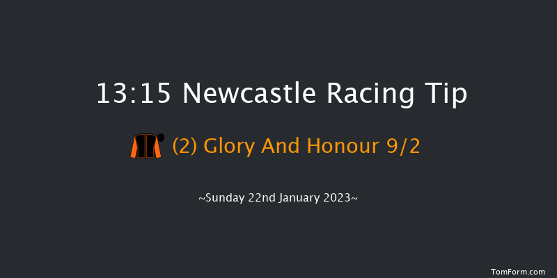 Newcastle 13:15 Handicap (Class 6) 16f Fri 20th Jan 2023