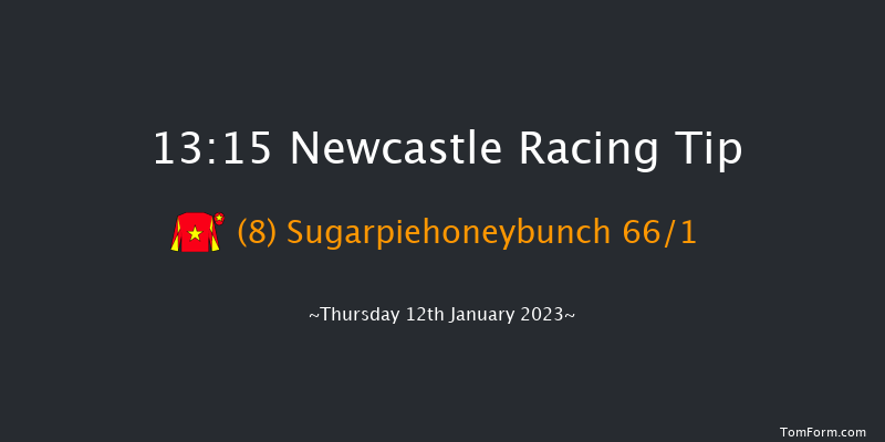 Newcastle 13:15 Stakes (Class 6) 10f Sat 7th Jan 2023