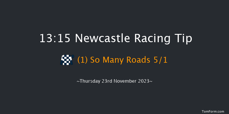 Newcastle 13:15 Handicap Hurdle (Class 5) 24f Sun 19th Nov 2023