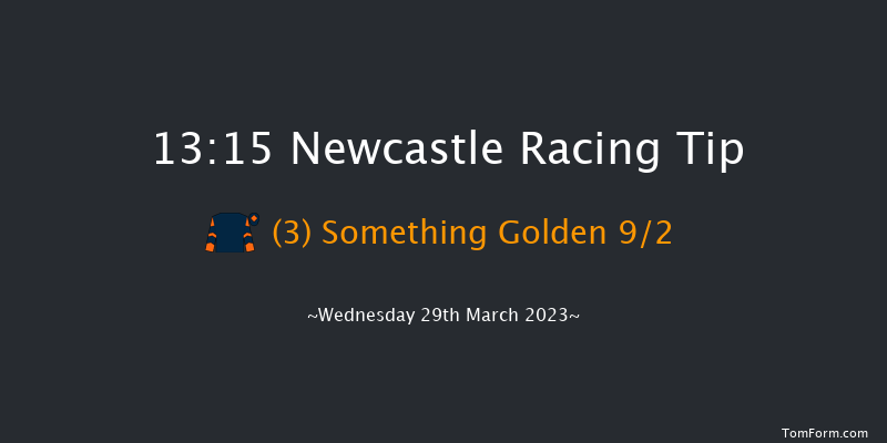 Newcastle 13:15 Handicap Hurdle (Class 5) 24f Fri 24th Mar 2023