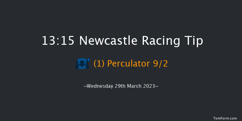 Newcastle 13:15 Handicap Hurdle (Class 5) 24f Fri 24th Mar 2023