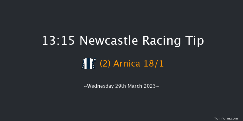 Newcastle 13:15 Handicap Hurdle (Class 5) 24f Fri 24th Mar 2023