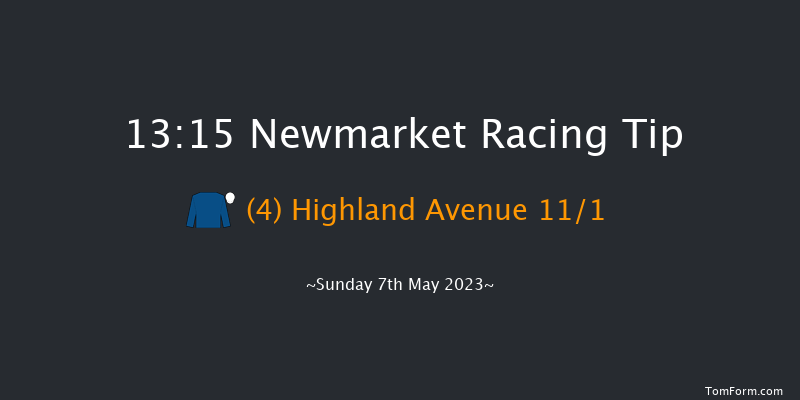 Newmarket 13:15 Group 3 (Class 1) 10f Sat 6th May 2023