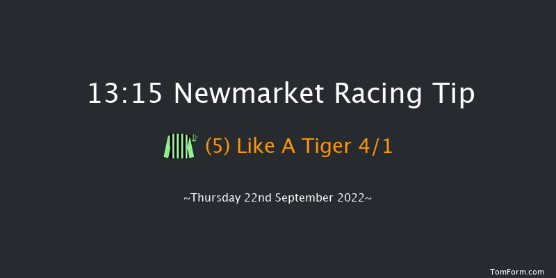 Newmarket 13:15 Maiden (Class 4) 8f Sat 17th Sep 2022