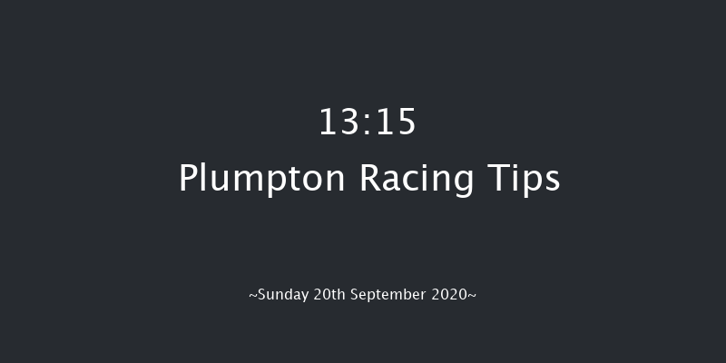 Strong Flavours Catering Juvenile Hurdle (GBB Race) Plumpton 13:15 Conditions Hurdle (Class 4) 18f Mon 9th Mar 2020