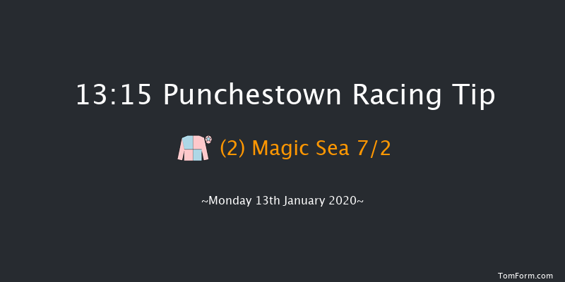Punchestown 13:15 Handicap Hurdle 16f Sun 12th Jan 2020