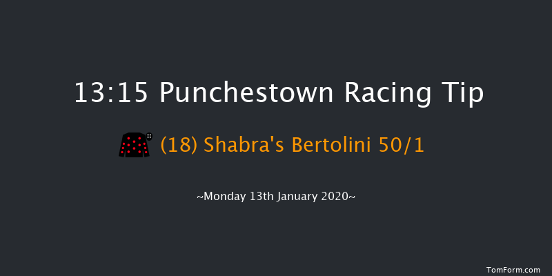 Punchestown 13:15 Handicap Hurdle 16f Sun 12th Jan 2020