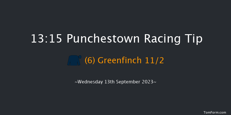 Punchestown 13:15 Maiden 7f Sun 11th Jun 2023