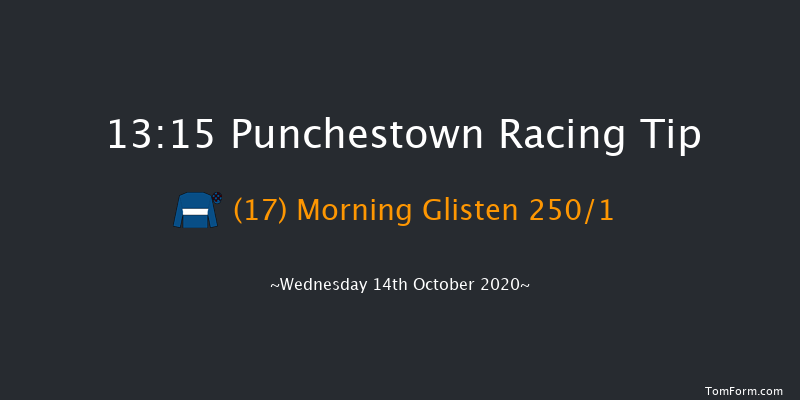 Sherry Fitzgerald Brady O'Flaherty Maiden Hurdle Punchestown 13:15 Maiden Hurdle 16f Tue 13th Oct 2020