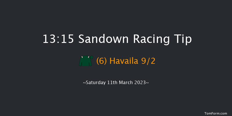 Sandown 13:15 Handicap Hurdle (Class 3) 16f Tue 7th Mar 2023