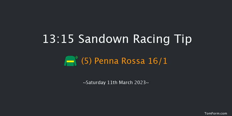 Sandown 13:15 Handicap Hurdle (Class 3) 16f Tue 7th Mar 2023