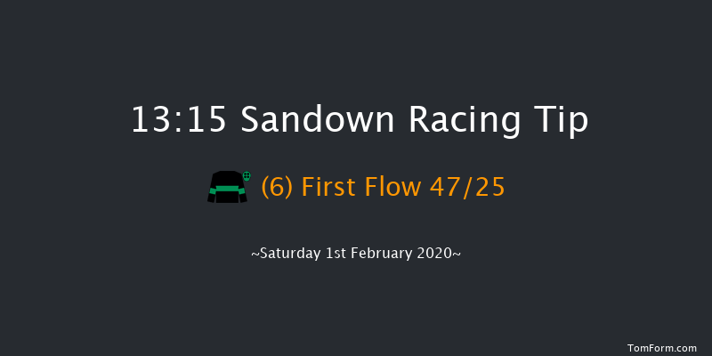 Sandown 13:15 Handicap Chase (Class 2) 16f Sat 4th Jan 2020