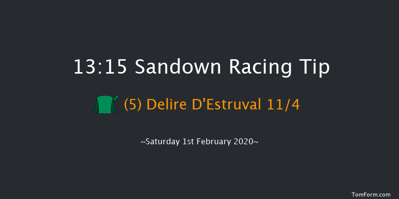 Sandown 13:15 Handicap Chase (Class 2) 16f Sat 4th Jan 2020