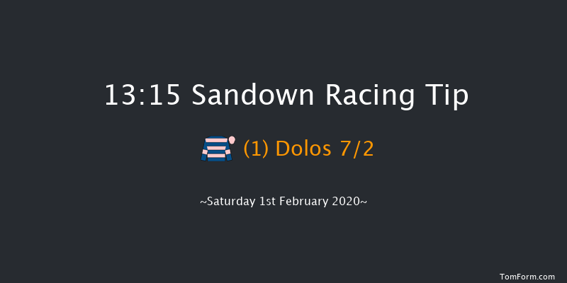 Sandown 13:15 Handicap Chase (Class 2) 16f Sat 4th Jan 2020