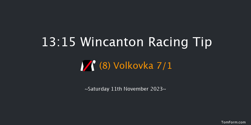 Wincanton 13:15 Handicap Chase (Class 3) 20f Sun 29th Oct 2023