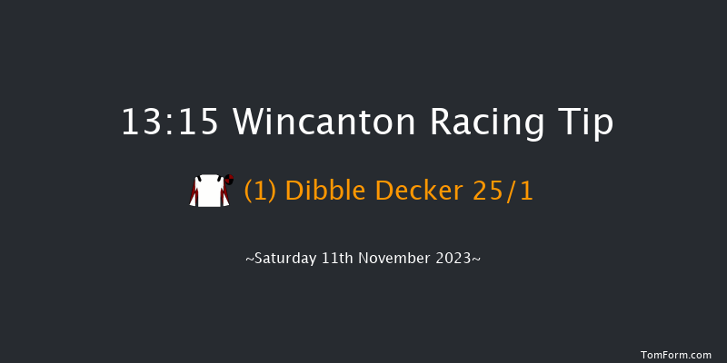 Wincanton 13:15 Handicap Chase (Class 3) 20f Sun 29th Oct 2023