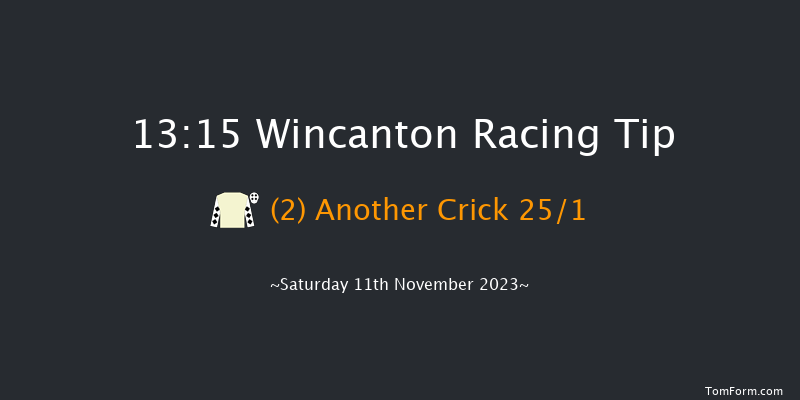 Wincanton 13:15 Handicap Chase (Class 3) 20f Sun 29th Oct 2023