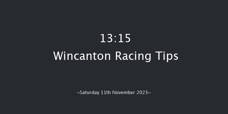 Wincanton 13:15 Handicap Chase (Class 3) 20f Sun 29th Oct 2023