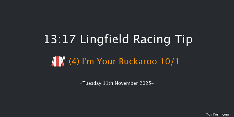 Lingfield 13-17 (Class 5) 23f Tue 4th Nov 2025