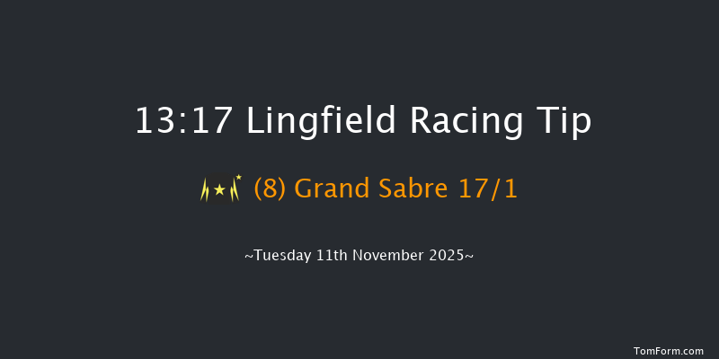Lingfield 13-17 (Class 5) 23f Tue 4th Nov 2025