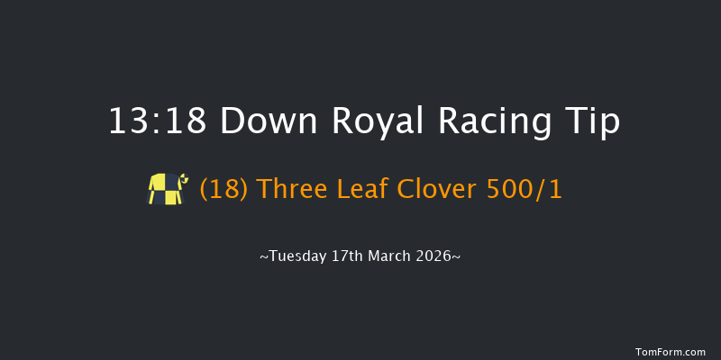 Down Royal 13-18 17f Tue 20th Jan 2026