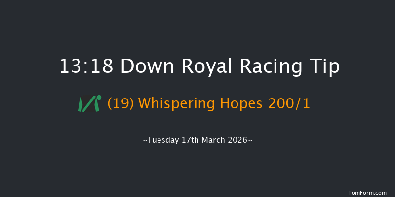 Down Royal 13-18 17f Tue 20th Jan 2026