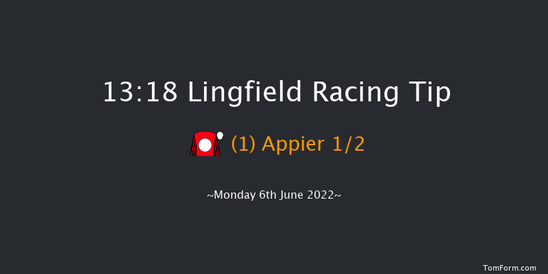 Lingfield 13:18 Handicap (Class 6) 12f Sat 4th Jun 2022