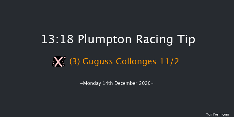 Derek Hunnisett Memorial 'National Hunt' Auction Maiden Hurdle (GBB Race) Plumpton 13:18 Maiden Hurdle (Class 4) 20f Mon 7th Dec 2020