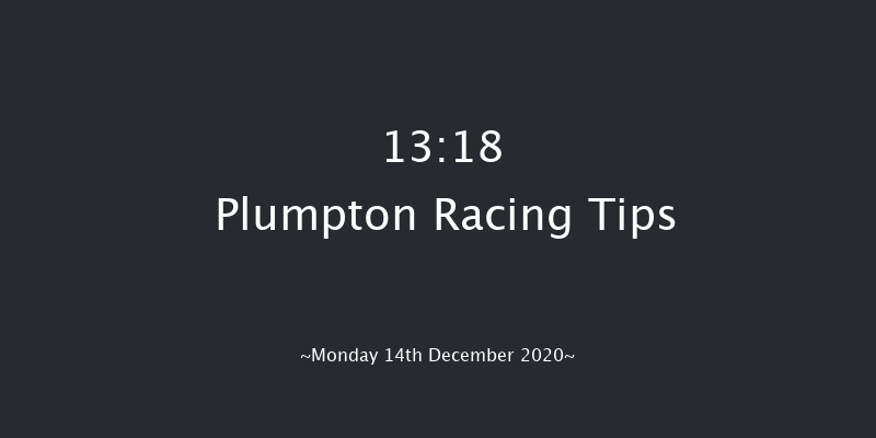 Derek Hunnisett Memorial 'National Hunt' Auction Maiden Hurdle (GBB Race) Plumpton 13:18 Maiden Hurdle (Class 4) 20f Mon 7th Dec 2020