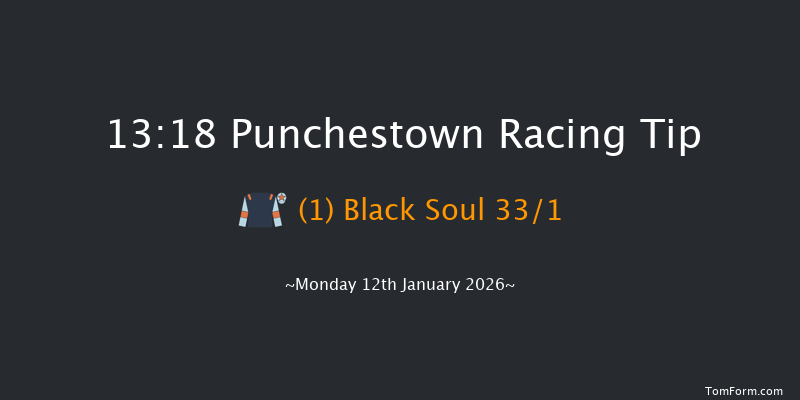 Punchestown 13-18 16f Sun 11th Jan 2026