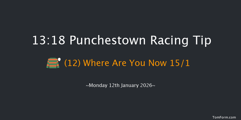 Punchestown 13-18 16f Sun 11th Jan 2026